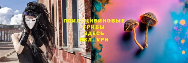 дмт Балахна
