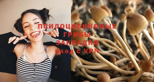 а пвп мука Баксан