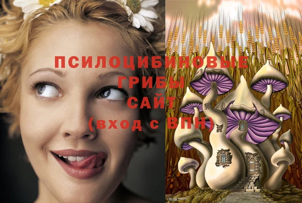 а пвп мука Баксан